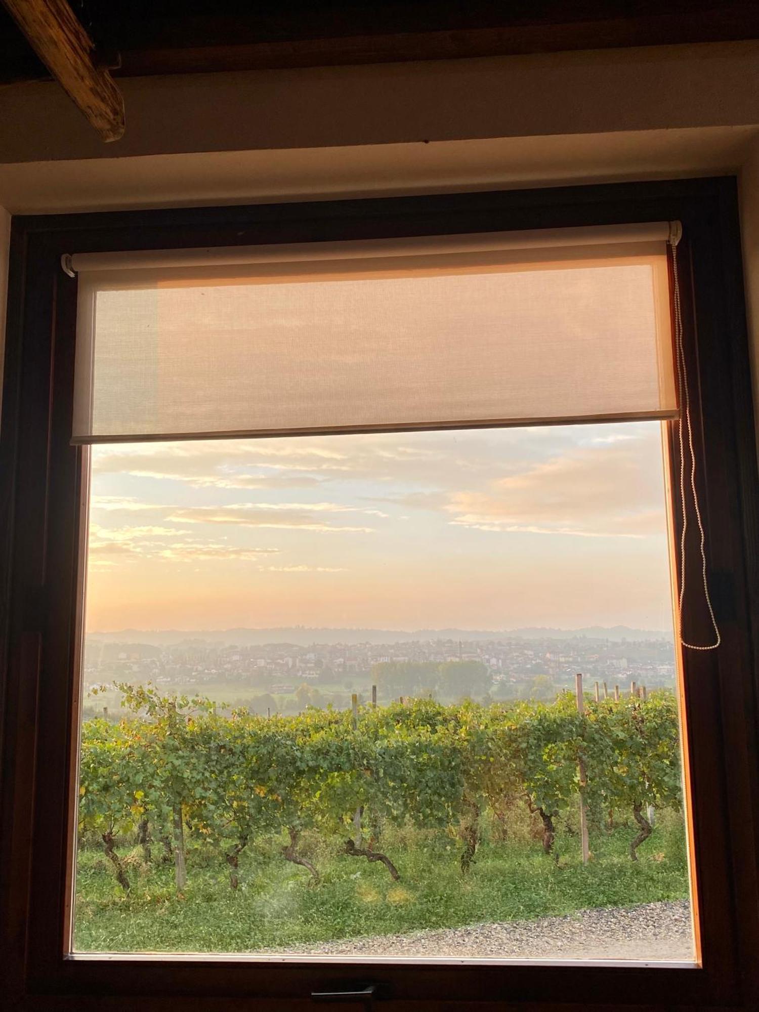 Tenuta Agricola La Cava- Cantina E Agriturismo San Damiano d'Asti Экстерьер фото